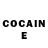 Cocaine Fish Scale Zhanna Savchenko