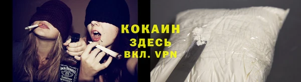 ГАЛЛЮЦИНОГЕННЫЕ ГРИБЫ Богданович